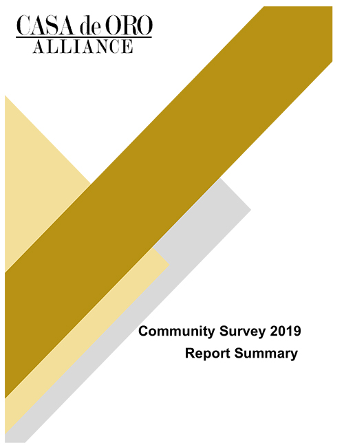CDOA Survey Report 2019
