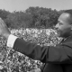 MLK during his speech