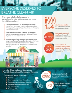 smokefreeOutdors-factsheet